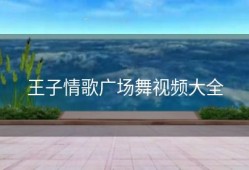 王子情歌广场舞视频大全