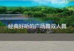 经典好听的广场舞双人舞
