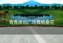 青青原创广场舞格桑花