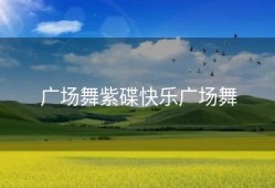 广场舞紫碟快乐广场舞