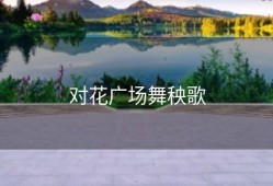 对花广场舞秧歌