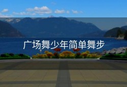 广场舞少年简单舞步