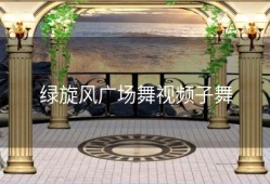 绿旋风广场舞视频子舞
