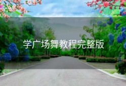 学广场舞教程完整版