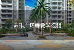 苏琪广场舞教学视频