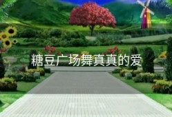 糖豆广场舞真真的爱