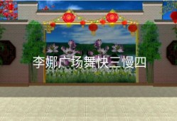 李娜广场舞快三慢四