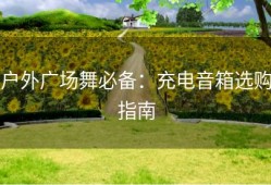 户外广场舞必备：充电音箱选购指南