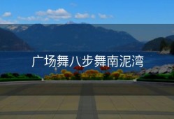 广场舞八步舞南泥湾