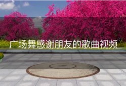 广场舞感谢朋友的歌曲视频