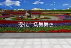 现代广场舞舞衣