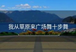 我从草原来广场舞十步舞