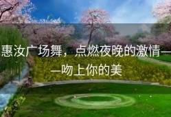 惠汝广场舞，点燃夜晚的激情——吻上你的美