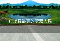 广场舞最真的梦双人舞