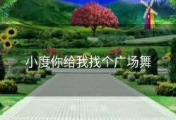 小度你给我找个广场舞