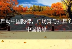 舞动中国韵律，广场舞与排舞的中国情缘