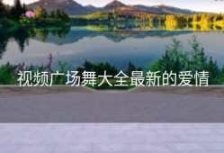 视频广场舞大全最新的爱情