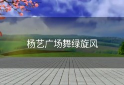 杨艺广场舞绿旋风