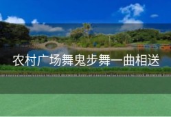 农村广场舞鬼步舞一曲相送