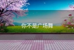 你不是广场舞