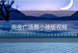 雨夜广场舞小孩版视频