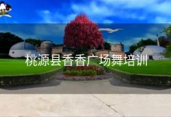 桃源县香香广场舞培训