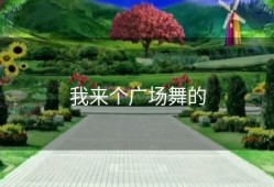 我来个广场舞的