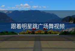 跟着明星跳广场舞视频