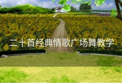 二十首经典情歌广场舞教学