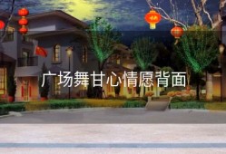 广场舞甘心情愿背面