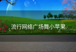 流行网络广场舞小苹果