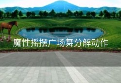 魔性摇摆广场舞分解动作