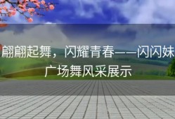 翩翩起舞，闪耀青春——闪闪妹广场舞风采展示