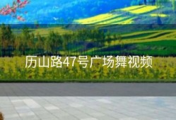 历山路47号广场舞视频