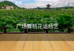 广场舞桃花谣杨艺