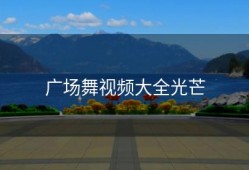 广场舞视频大全光芒