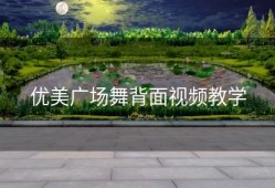 优美广场舞背面视频教学