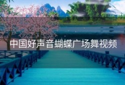 中国好声音蝴蝶广场舞视频