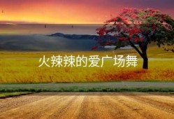 火辣辣的爱广场舞