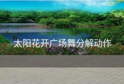 太阳花开广场舞分解动作