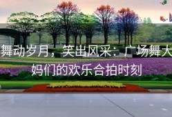 舞动岁月，笑出风采：广场舞大妈们的欢乐合拍时刻