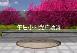 午后小阳光广场舞