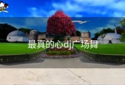 最真的心dj广场舞
