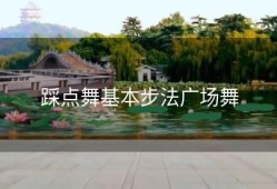 踩点舞基本步法广场舞