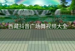 西藏抖音广场舞视频大全