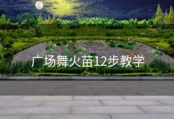 广场舞火苗12步教学