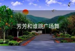 芳芳和谁跳广场舞