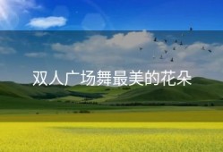 双人广场舞最美的花朵