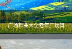 广场舞曲大全老年广场舞