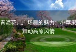 青海花儿广场舞的魅力：小苹果舞动高原风情